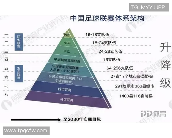 2020年中国足球明星盘点与发展现状分析